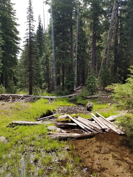 Quinn Meadow Horse Camp Picture 5