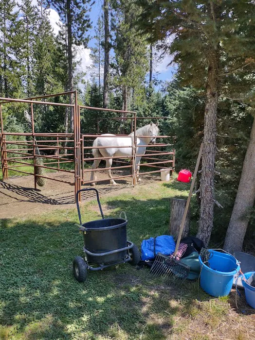 Quinn Meadow Horse Camp Picture 2
