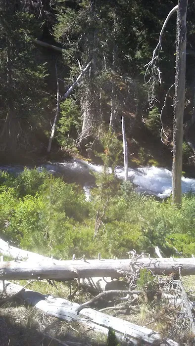 Quinn Meadow Horse Camp Picture 9