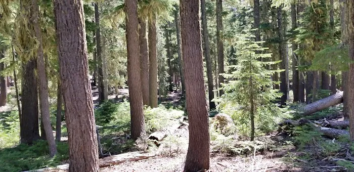 Quinn Meadow Horse Camp Picture 6