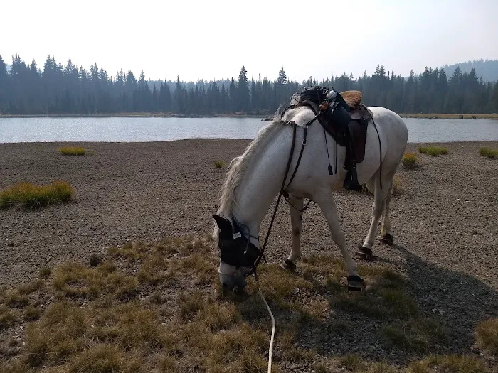 Quinn Meadow Horse Camp Picture 1