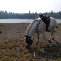 Quinn Meadow Horse Camp ico