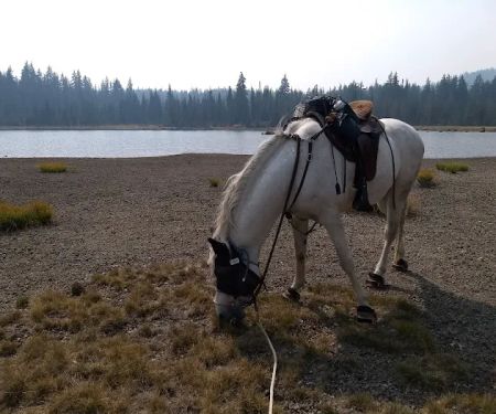 Quinn Meadow Horse Camp