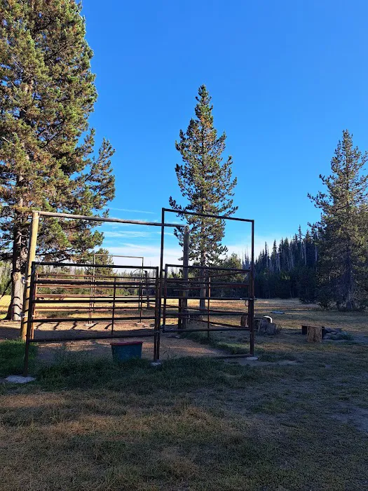 Quinn Meadow Horse Camp Picture 4
