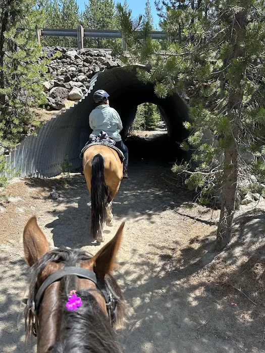 Quinn Meadow Horse Camp Picture 3