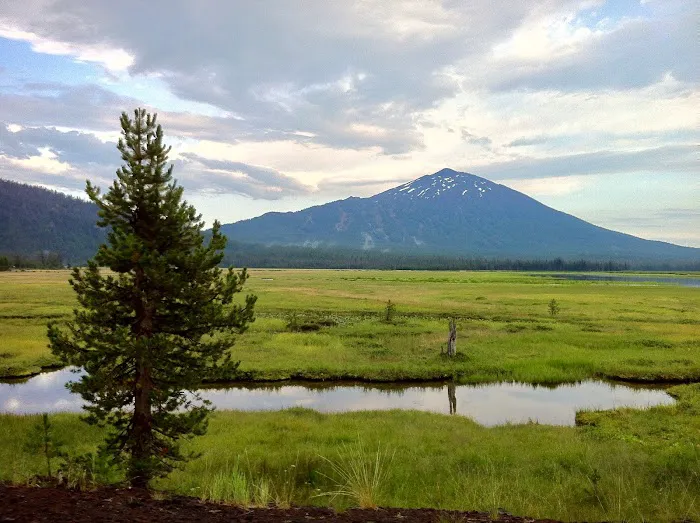Quinn Meadow Horse Camp Picture 10