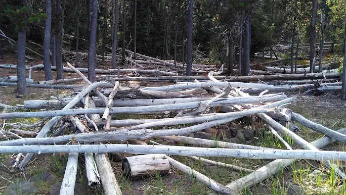 Point Campground Picture 1