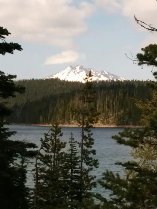 Point Campground Picture 7