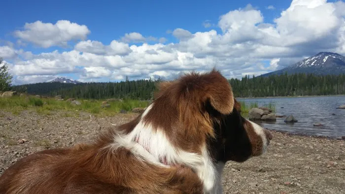 Point Campground Picture 9