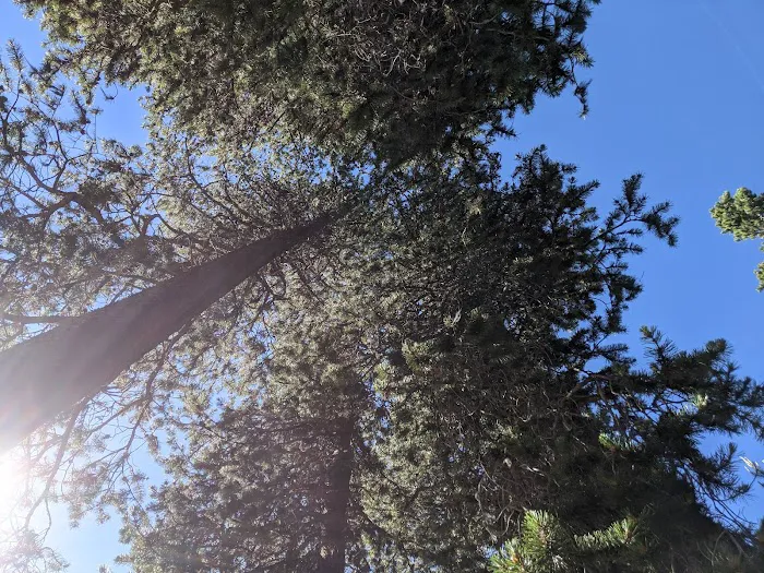 Little Fawn Campground Picture 4