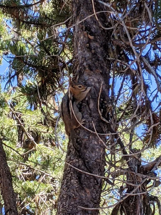 Little Fawn Campground Picture 7