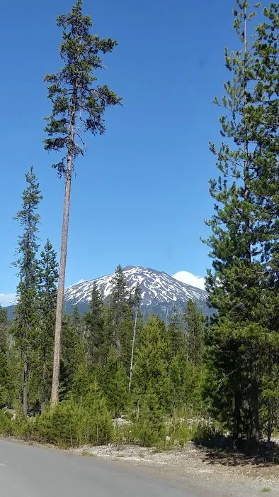 Little Fawn Campground Picture 9