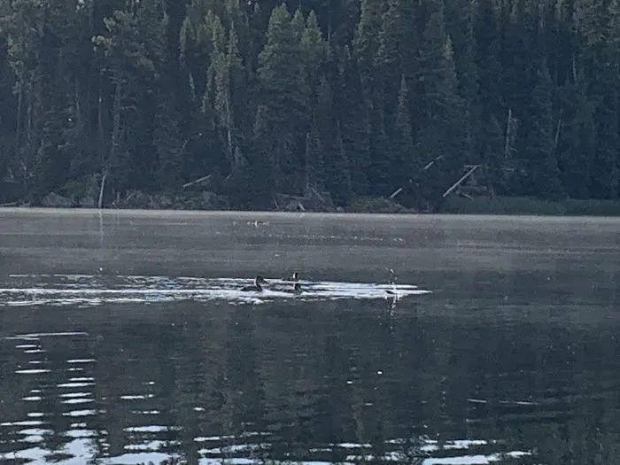 South Campground Picture 2