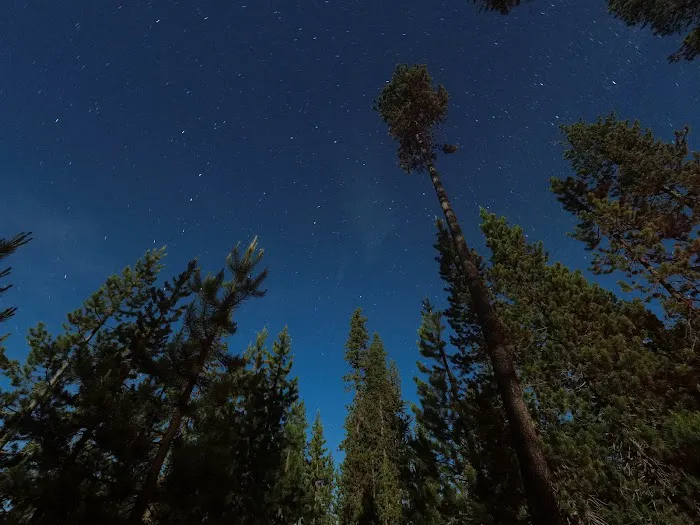 South Campground Picture 8