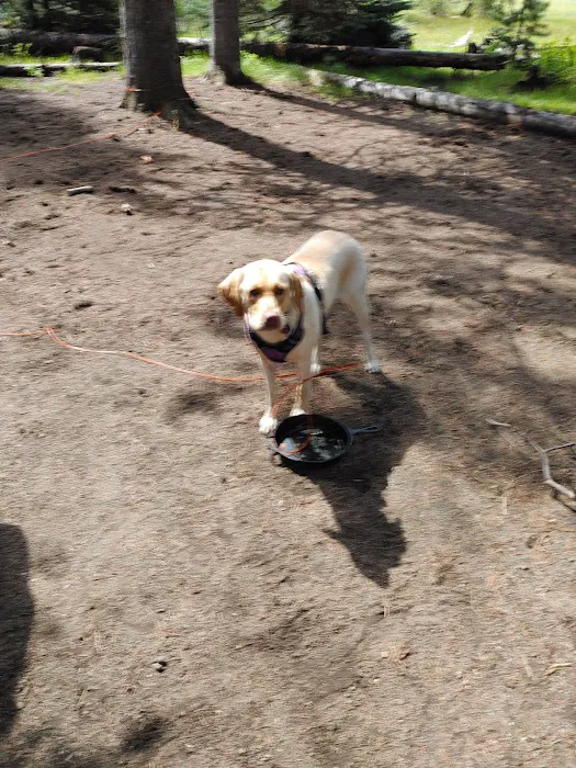 South Campground Picture 7