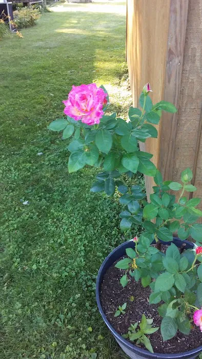 Rolling Wheels Estates Picture 5