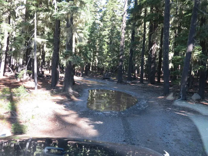 Harralson Horse Camp Picture 4