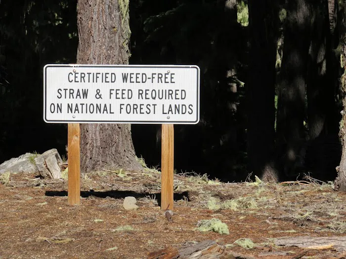 Harralson Horse Camp Picture 2