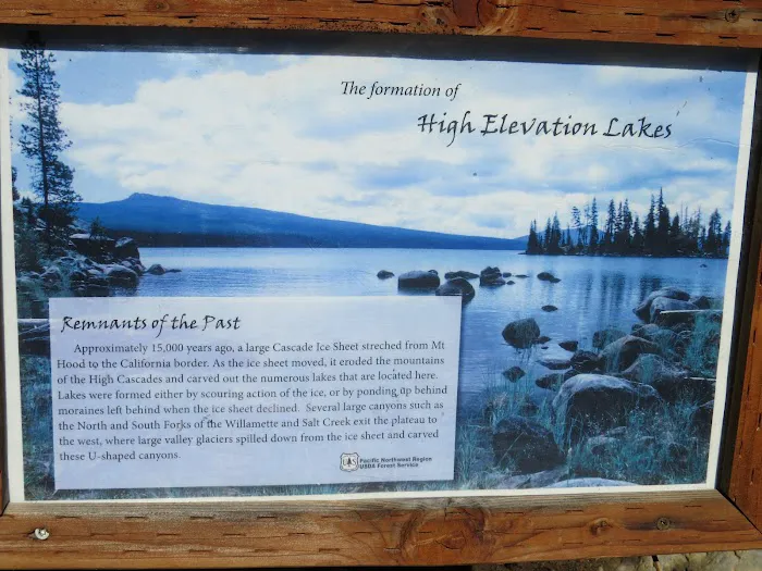 Harralson Horse Camp Picture 3