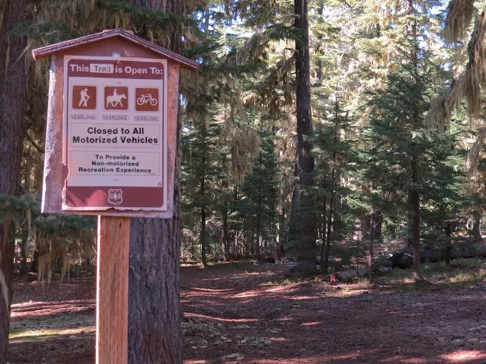 Harralson Horse Camp Picture 8