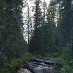 Cultus Lake Campground