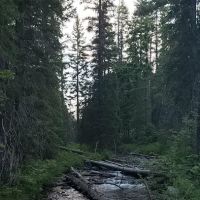 Cultus Lake Campground ico