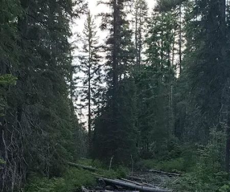 Cultus Lake Campground