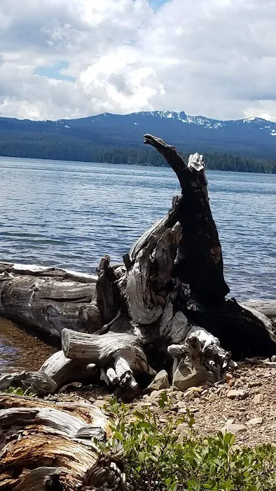 Cultus Lake Campground Picture 10