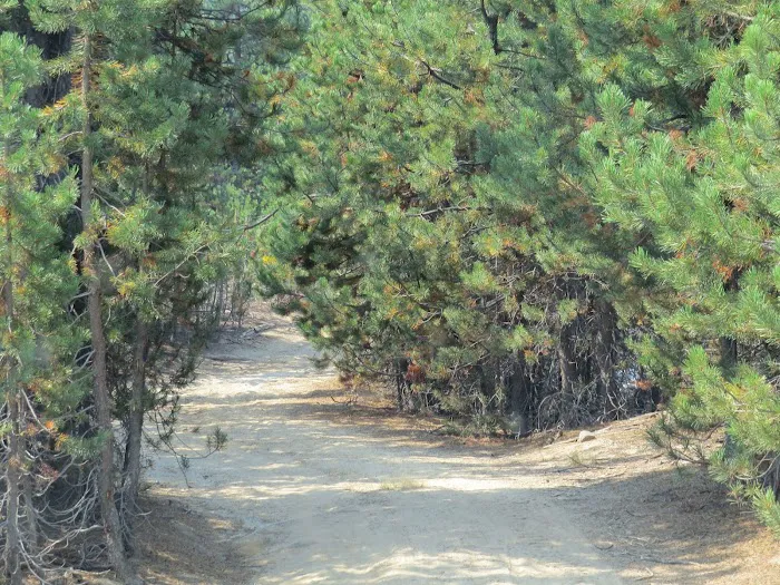 Met-Win dry camp Picture 3