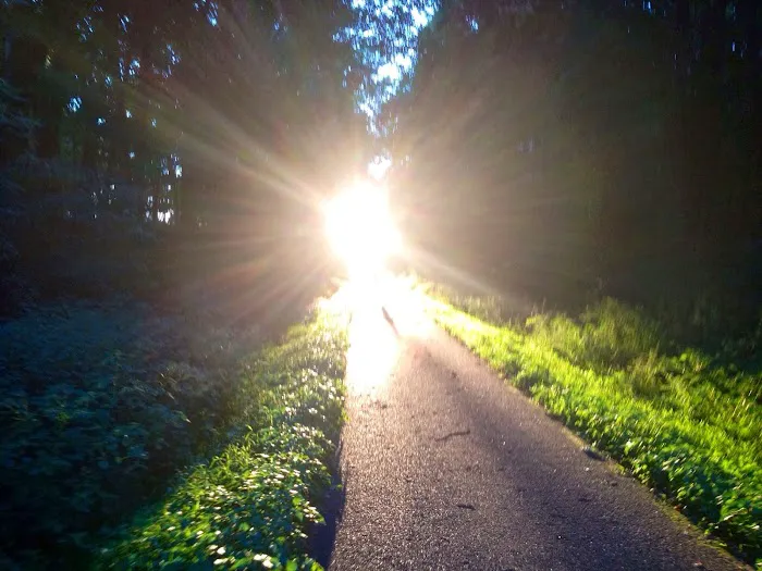 Rolling Hills Village Inc Picture 9