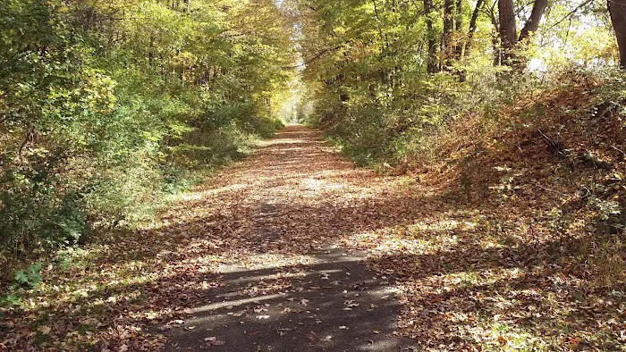 Rolling Hills Village Inc Picture 10