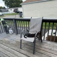 Rolling Hills Village Inc ico