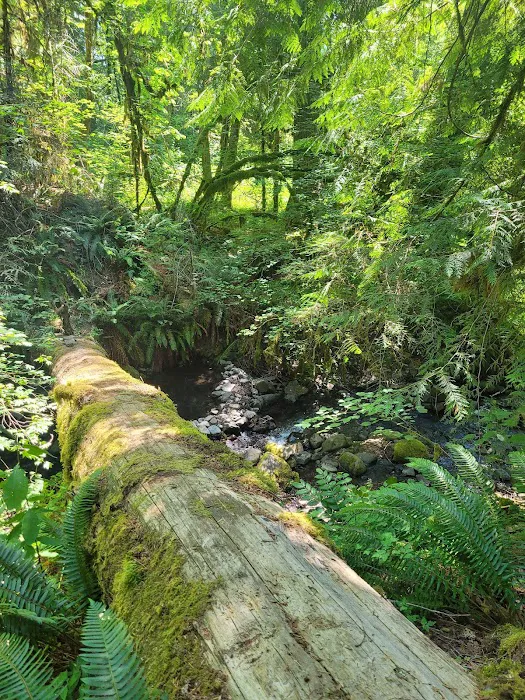 Blue Pool Campground Picture 2