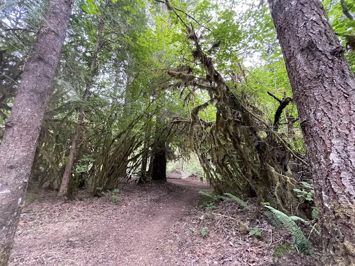 Blue Pool Campground Picture 9