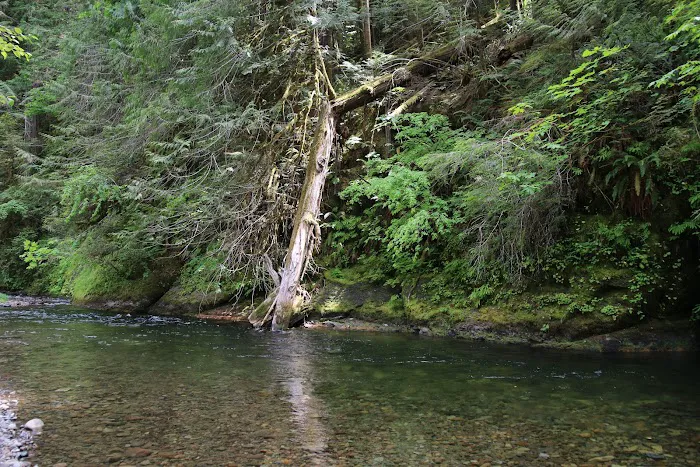 Blue Pool Campground Picture 8