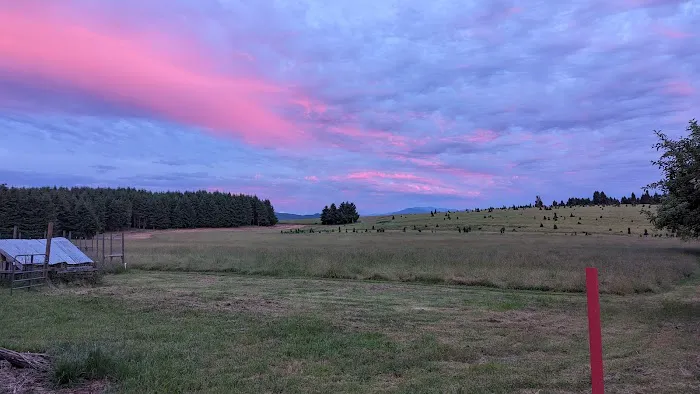 Moon Shadow Meadows Picture 3