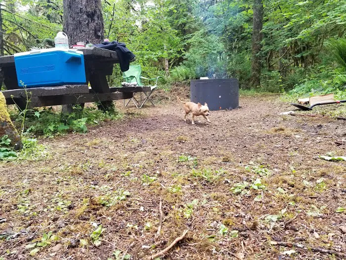 Puma Campground Picture 9