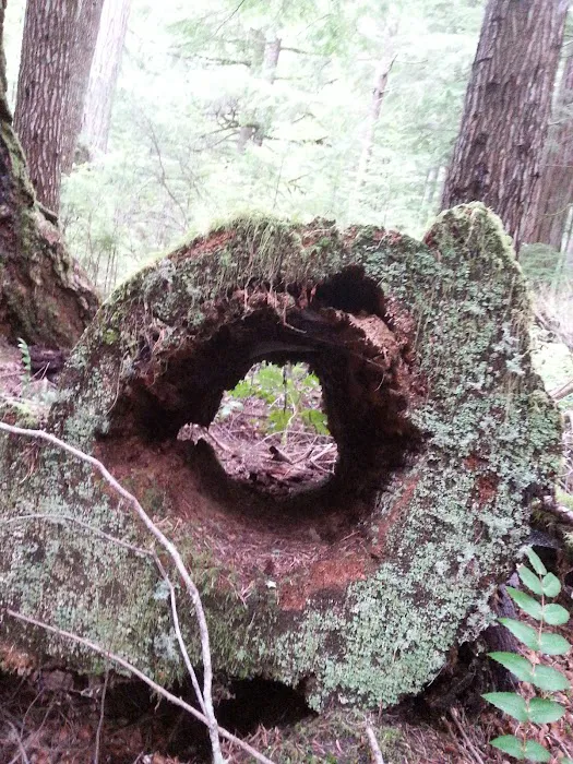 Puma Campground Picture 2