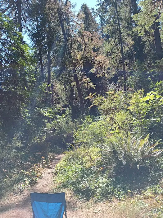 Puma Campground Picture 3