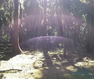 Puma Campground Picture 7