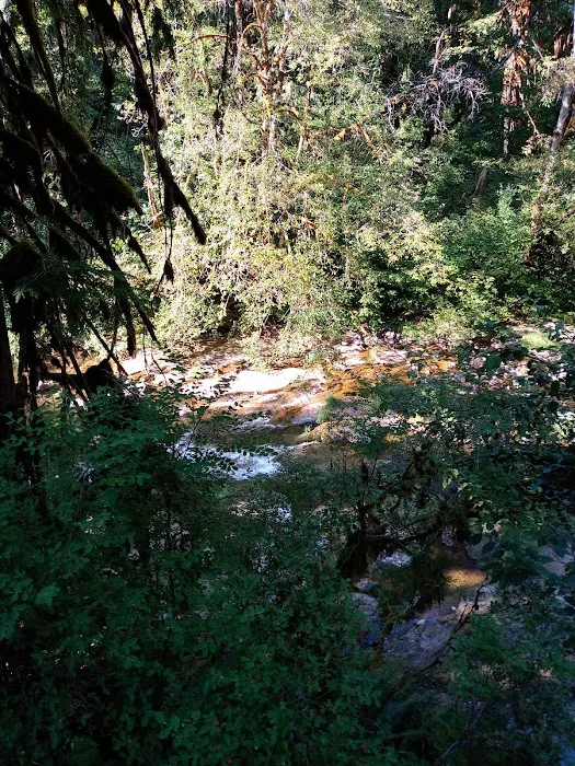 Puma Campground Picture 5