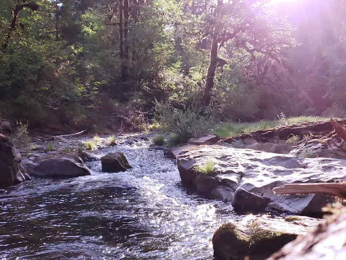 Puma Campground Picture 1