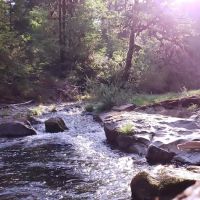 Puma Campground ico