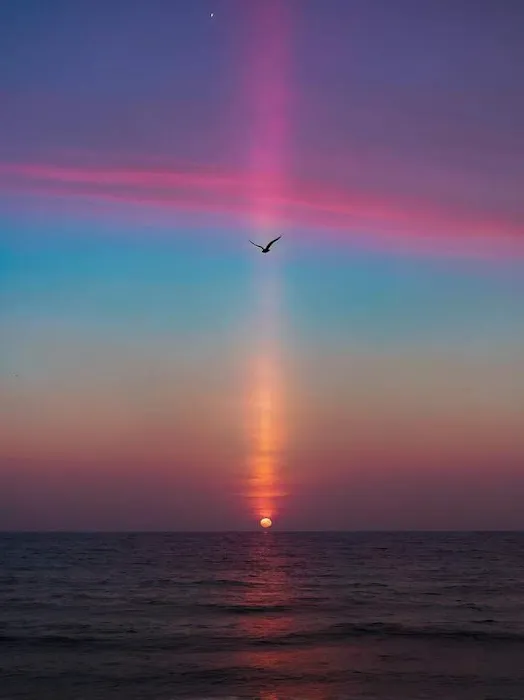 Dutchtown Estates Picture 5