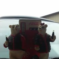 Dutchtown Estates ico