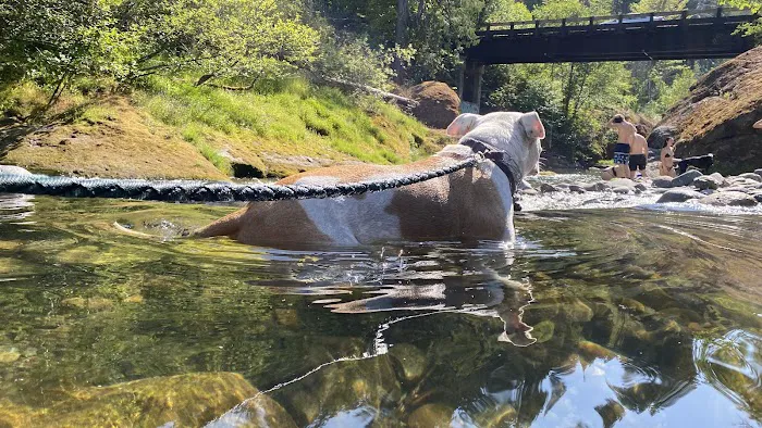 Bedrock Campground Picture 2