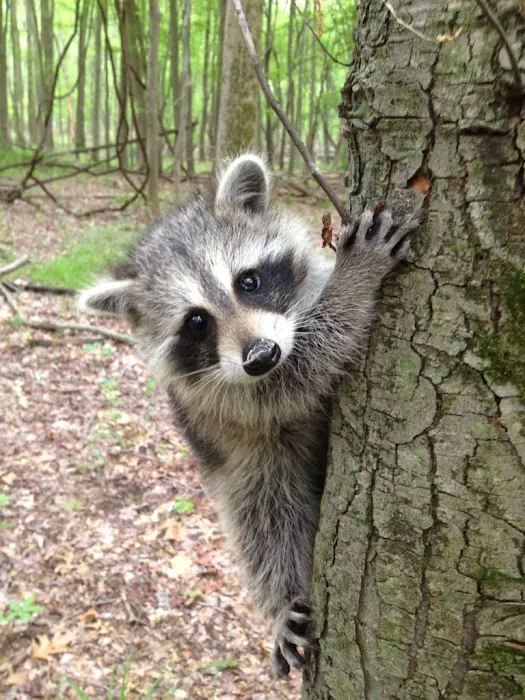 Black Canyon Campground Picture 9