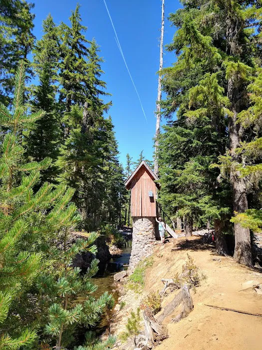 Waldo Lake Shadow Bay Willamette NF Picture 2