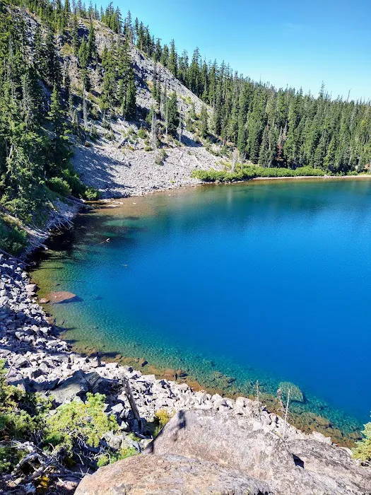 Waldo Lake Shadow Bay Willamette NF Picture 3
