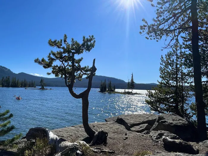 Waldo Lake Shadow Bay Willamette NF Picture 1